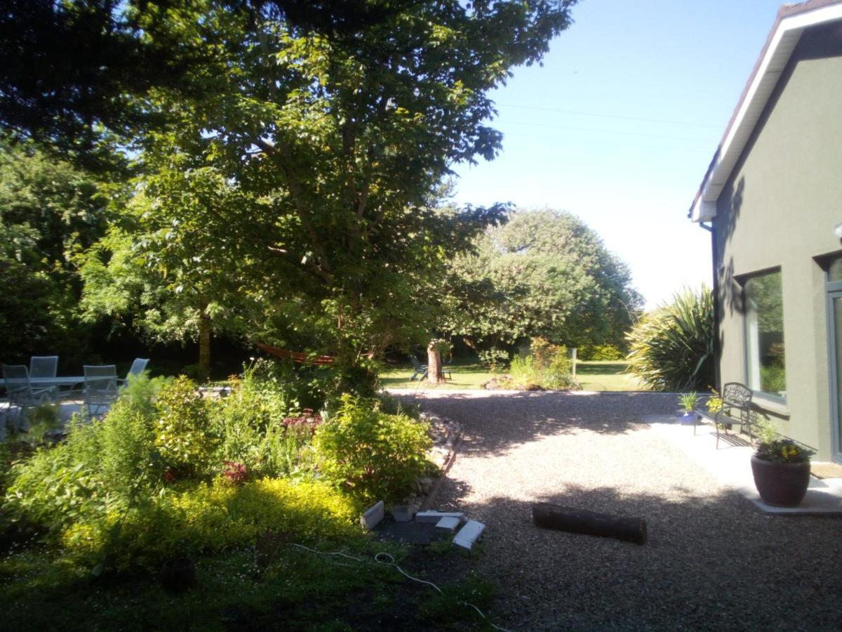 Spacious Contemporary Type Apartment. Apartamento Galway